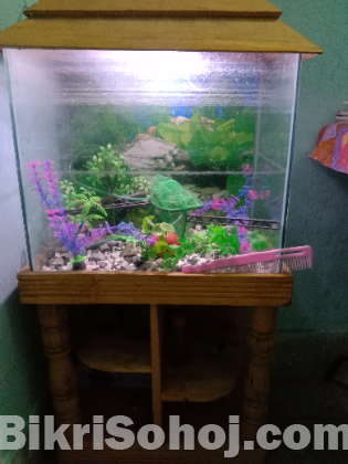 একুরিয়াম